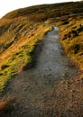 Irish coast line path