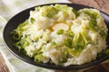 Irish colcannon - mashed potatoes with savoy cabbage closeup. Royalty Free Stock Photo