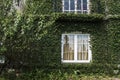 Irish cottage with green wall surface