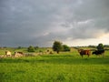 Irish countryside