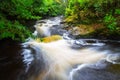 Irish creek of Clare Glens Royalty Free Stock Photo