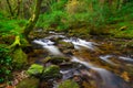 Irish creek of Clare Glens Royalty Free Stock Photo