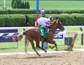 Irish Danzing Winning at Saratoga