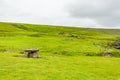 Irish dolmen in the meadow in the coastal walk route from Doolin to the Cliffs of Moher Royalty Free Stock Photo