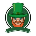 Irish elf face Royalty Free Stock Photo