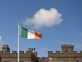 Irish Flag Royalty Free Stock Photo