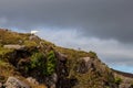 A Irish Goat on Top of a Mountain Royalty Free Stock Photo