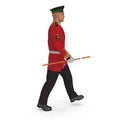 Irish Guard Sergeant on white. 3D illustration