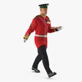 Irish Guard Sergeant on white. 3D illustration