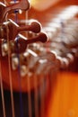 Irish harp music instrument closeup. Blur background.