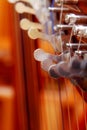 Irish harp music instrument closeup. Blur background.