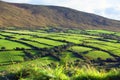 Irish landscape on dingle peninsula in county kerry - ireland Royalty Free Stock Photo