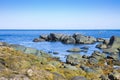 Irish landscape in northern Ireland with blocks of basalt rocks in the sea County Antrim - United Kingdom