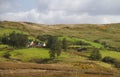 Small-scale farming in Ireland