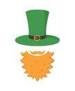 Irish leprechaun icon. Saint Patrick`s Day concept