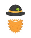 Irish leprechaun icon. Saint Patrick`s Day concept