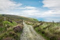 Irish Moorland Trail Royalty Free Stock Photo