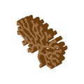 irish moss seaweed isometric icon vector illustration