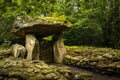 Irish National Heritage Park . Wexford. Ireland