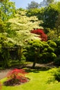 Irish National Stud's Japanese Gardens. Kildare. Ireland Royalty Free Stock Photo