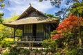 Irish National Stud's Japanese Gardens. Kildare. Ireland Royalty Free Stock Photo