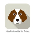 Irish red and white setter terrier dog face portrait, vector illustration Royalty Free Stock Photo