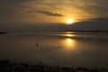 Irish sea, at Caernarfon Wales, at sunset.  Variety of birds feeding on the mud flats Royalty Free Stock Photo