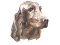 Irish Setter - hand-painted watercolor dog