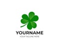 Irish shamrock and clover, logo template. Leaf, leaves and flora, vector design Royalty Free Stock Photo