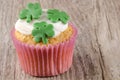 Irish st patricks day cupcake Royalty Free Stock Photo