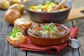 Irish stew Royalty Free Stock Photo