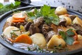 Irish Stew Royalty Free Stock Photo