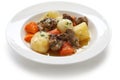 Irish stew Royalty Free Stock Photo