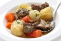 Irish stew Royalty Free Stock Photo