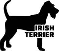 Irish Terrier silhouette real word