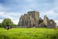 Irish landscape and Hore Abbey ruins, Ireland Royalty Free Stock Photo