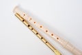 Irish whistle and block flute are longitudinal flutes with a whistle device and playing holes