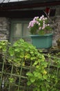 Irish window box Royalty Free Stock Photo