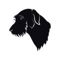 Irish wolfhound. Logo with dog on white background