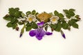 Travertine stone with alstroemeria flowers, red rose buds with leaves and in the center of an iris flower on a white background