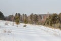Winter fields against the background of the forest. Royalty Free Stock Photo
