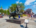 Irkutsk Babr Royalty Free Stock Photo