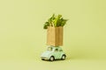 Irkutsk, Russia - October 3, 2020: Light green retro toy car carries paper shopping bags with green salad. Eco foods