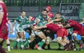 Benetton Treviso vs Scarlets Rugby