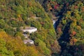 Irohazaka winding road during colorful autumn season at Oku-Nikko. Royalty Free Stock Photo