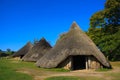 Iron age huts