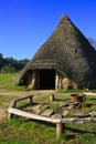 Iron age round house