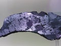 Iron alien meteorite with Widmanstatten pattern on light Royalty Free Stock Photo