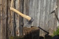 Iron ax with a wooden handle in a tree deck.