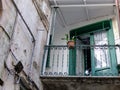 Iron balcony of an old building in the historical center of Salerno in Italy.